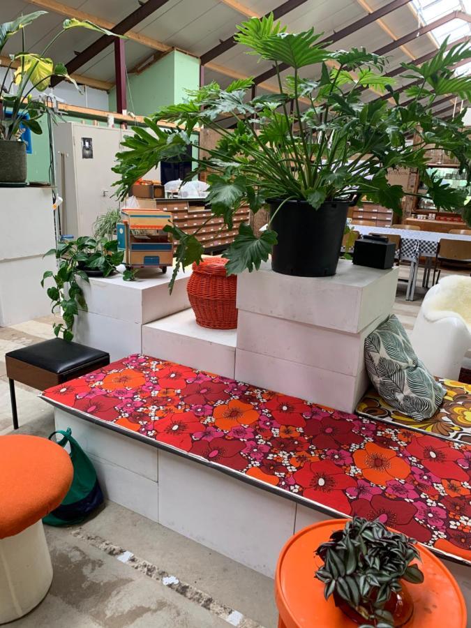 Bed and Breakfast Het Lage Noorden Marrum Zewnętrze zdjęcie