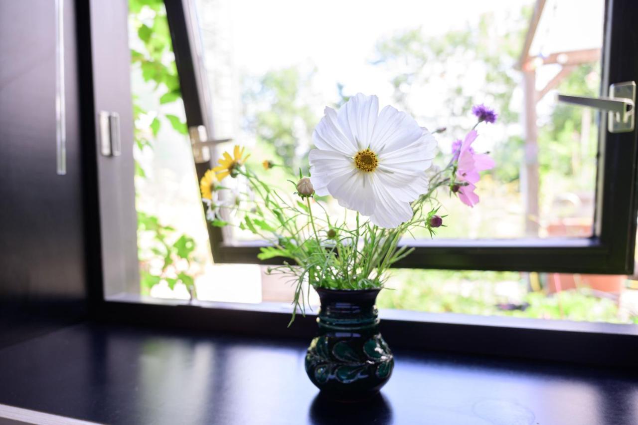 Bed and Breakfast Het Lage Noorden Marrum Zewnętrze zdjęcie
